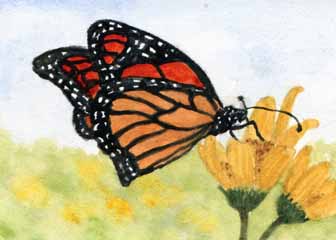 "Monarch" by Rebecca Herb, Madison WI - Watercolor